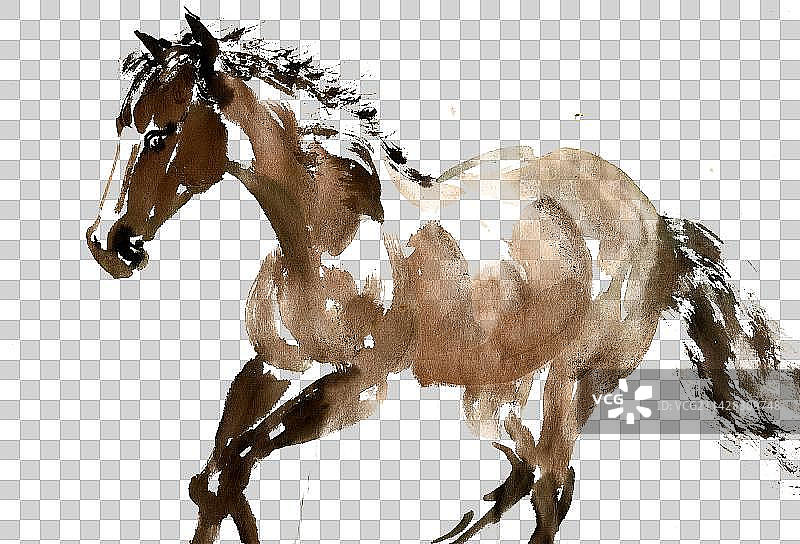 奔腾的骏马图片素材