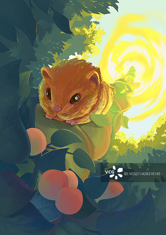 秘密森林图片素材