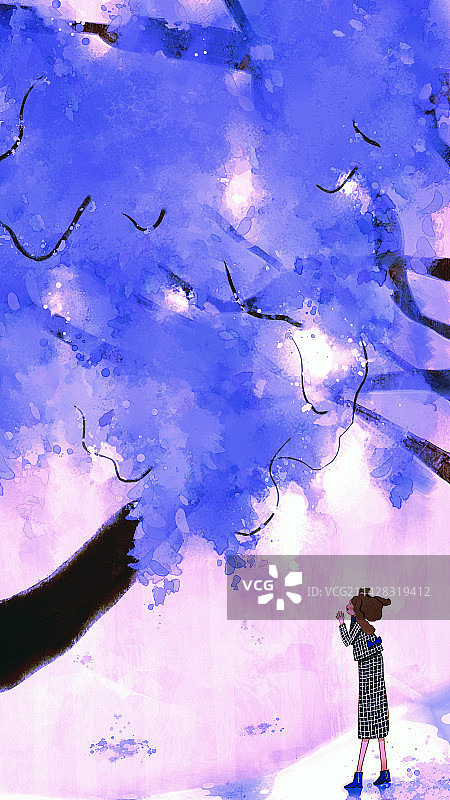 紫藤——节气插画图片素材