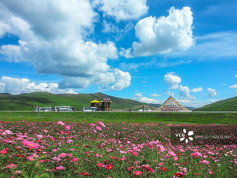 四川阿坝镰刀坝草原藏家乐图片素材