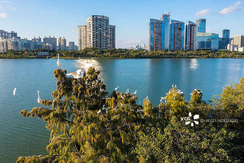 佛山市顺德区德胜河畔风光图片素材