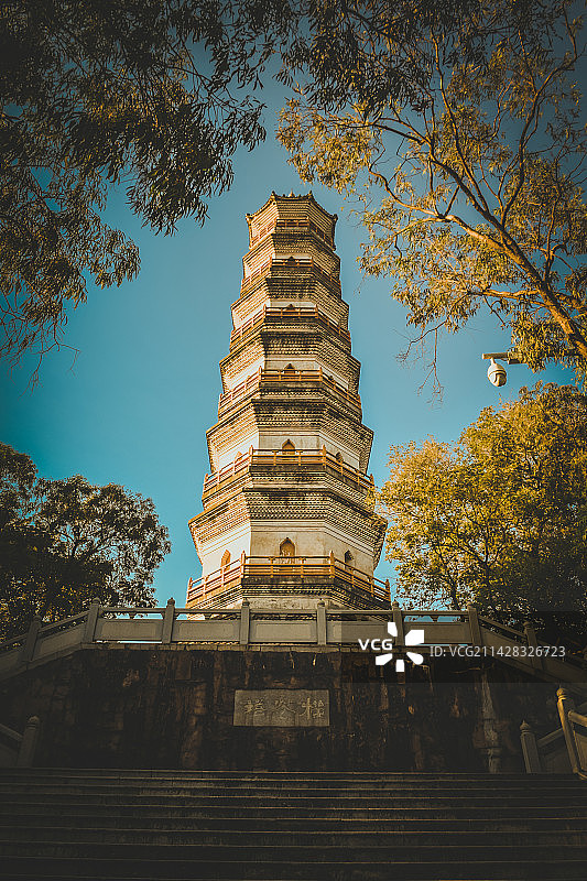 榴花公园之秋天树木和建筑物的低角度俯视图片素材