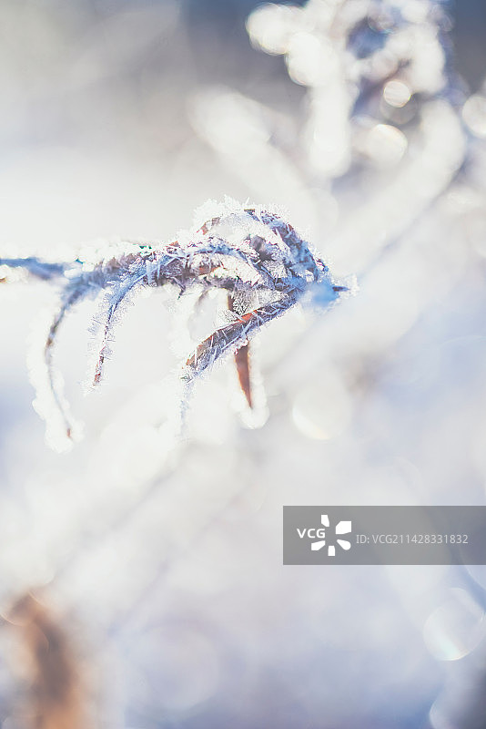 冬天纯净的户外冰雪图片图片素材