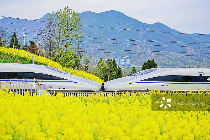 陕西省汉中市行驶在油菜花花海中的火车高铁图片素材