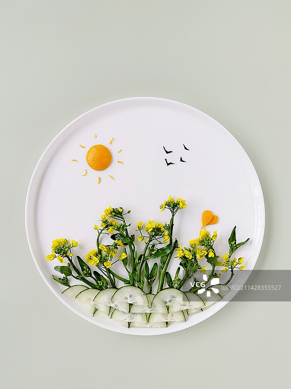 把春天带回家图片素材