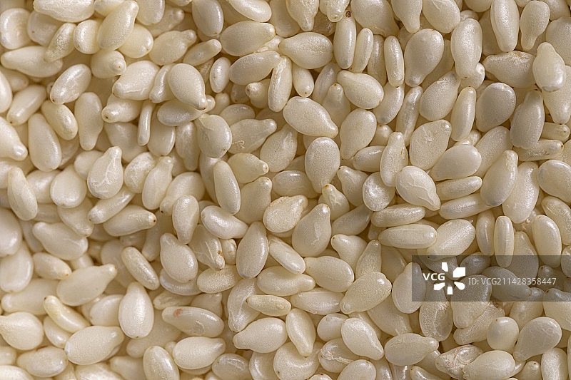 白芝麻微距特写图片素材