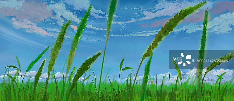 风吹田野图片素材