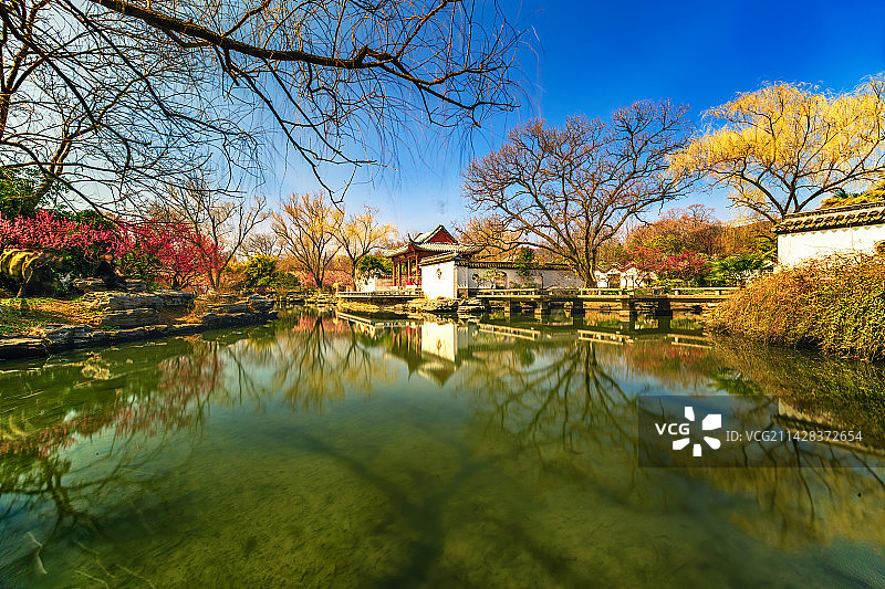 春日光影中的红楼艺文苑+梅花山（南京）图片素材