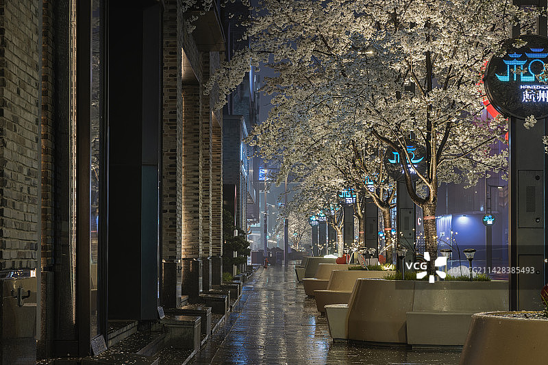 杭州城市夜樱图片素材