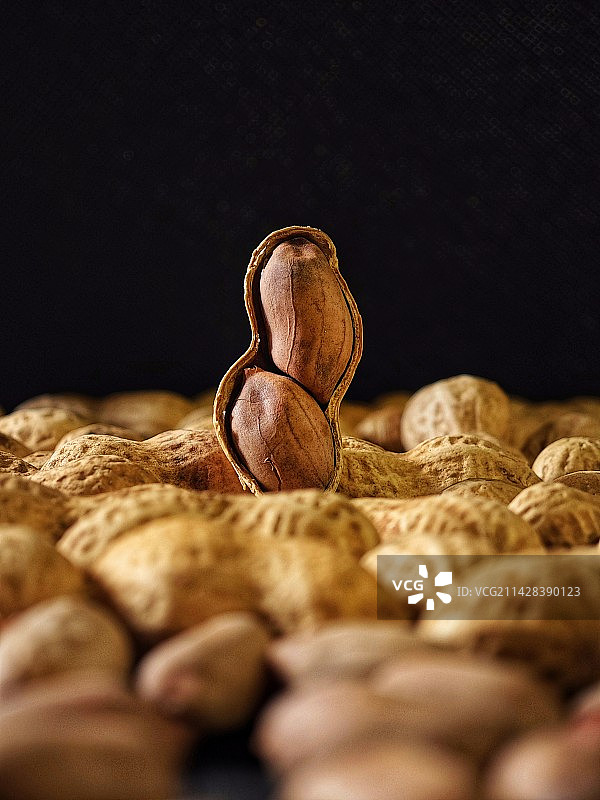 黑色背景，花生特写镜头图片素材