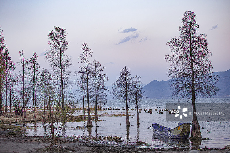安静的湖边图片素材