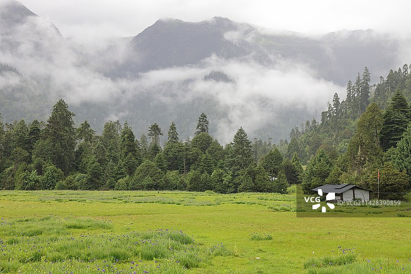 林芝南伊沟图片素材