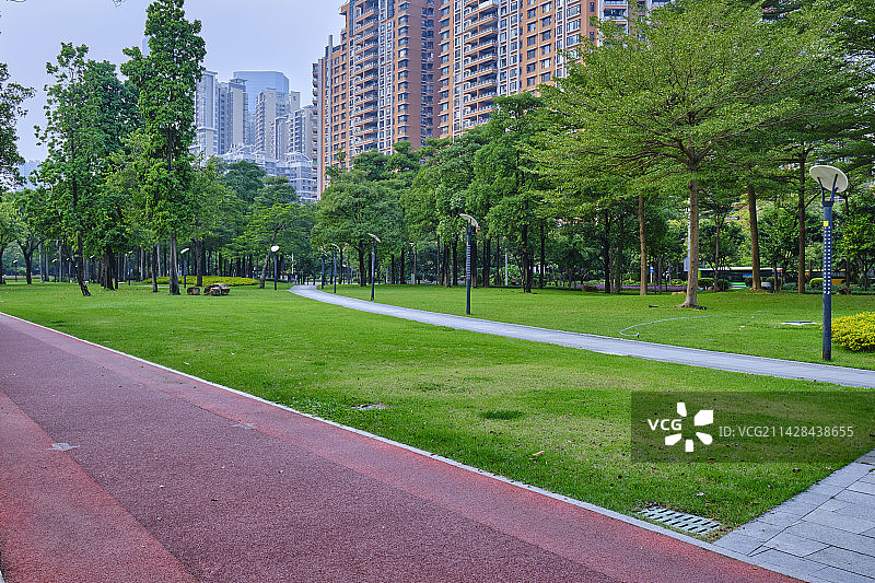 广州滨江公园碧绿草地树林图片素材