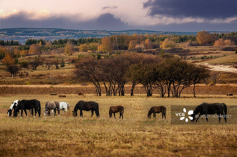 原生态图片素材