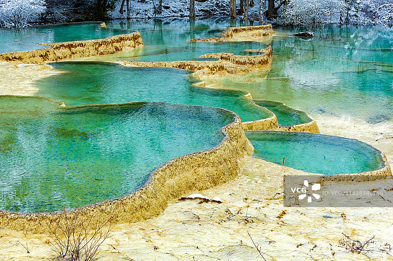 碧潭银树（黄龙）图片素材