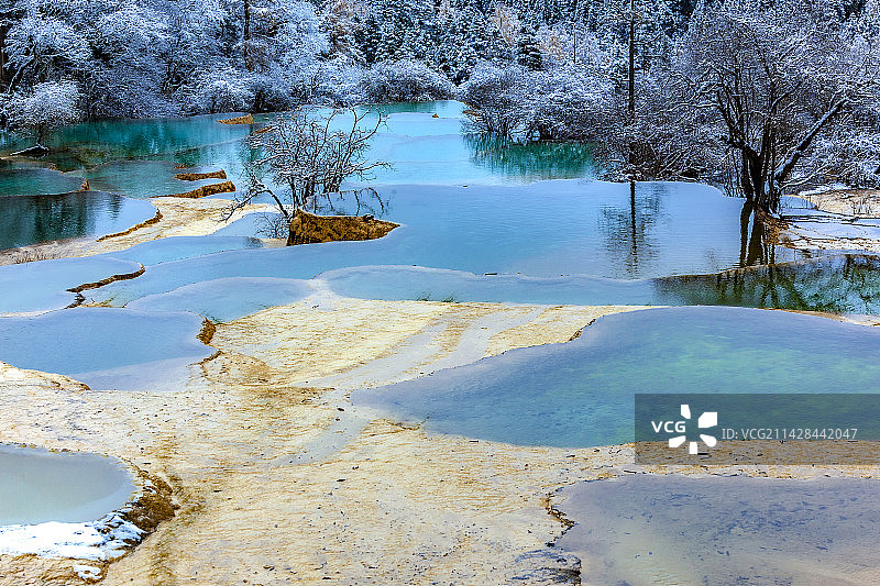 银树碧潭（黄龙）图片素材
