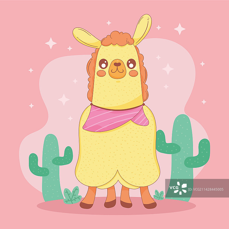 仙人掌秘鲁羊驼图片素材