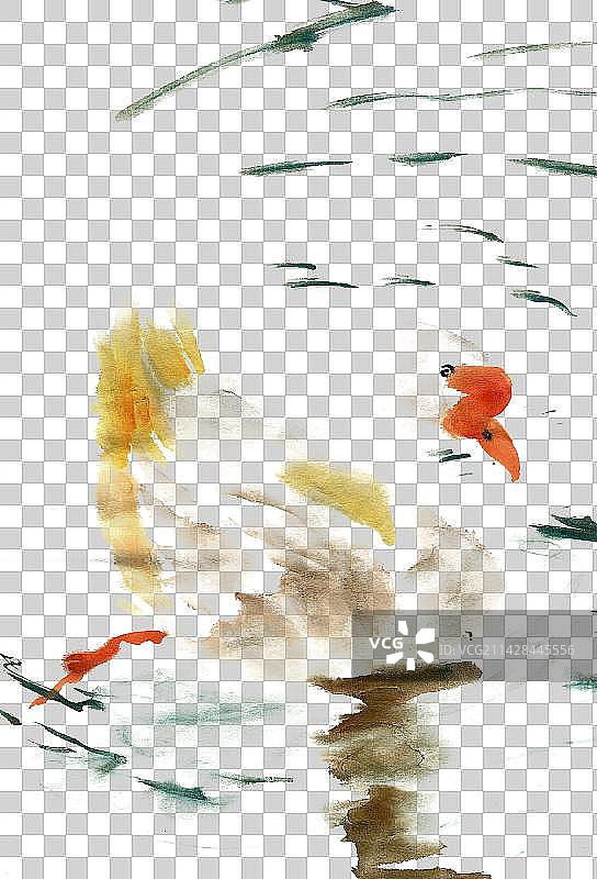 游弋的鹅图片素材