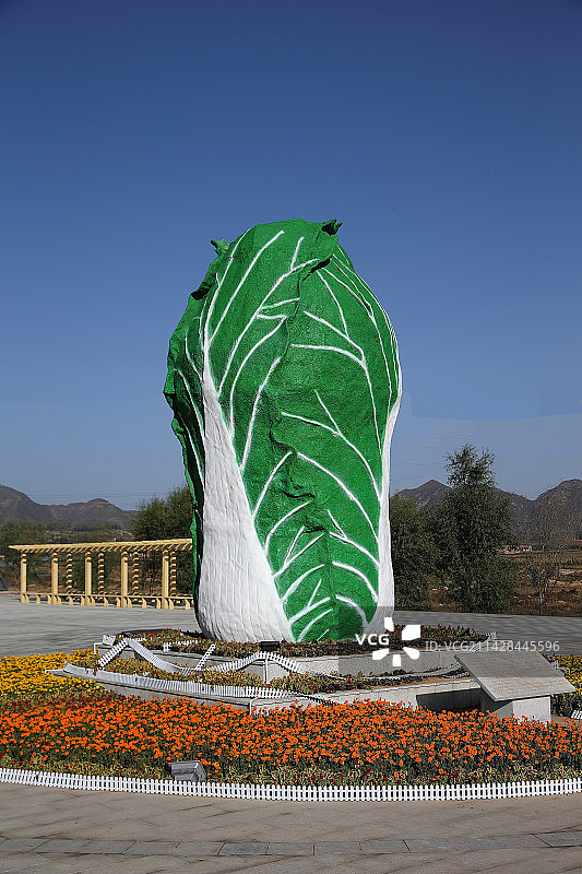 白菜雕塑图片素材