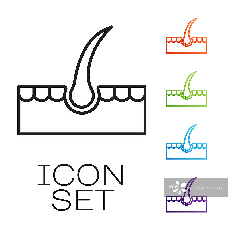 人类毛囊图标图片素材