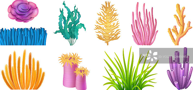 珊瑚礁合集图片素材