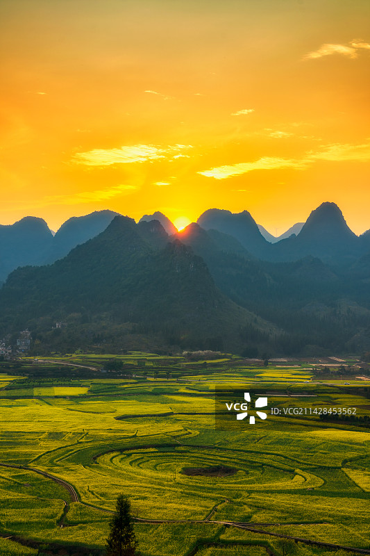贵州省黔西南布依族苗族自治州兴义市万峰林景区油菜花田（万峰林八卦田）春季户外日落风光高视角图片素材