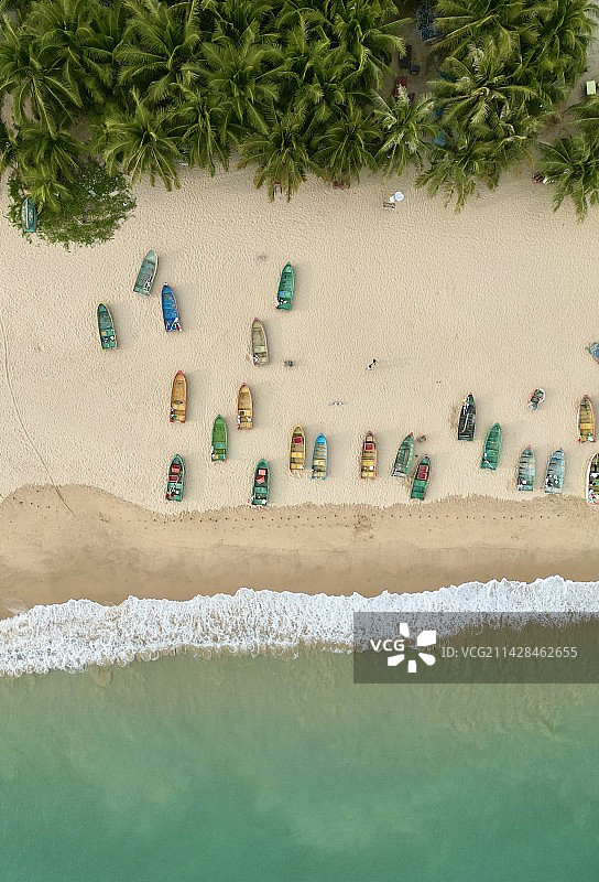 椰林 慢生活 新疆 海南 碧海蓝天图片素材