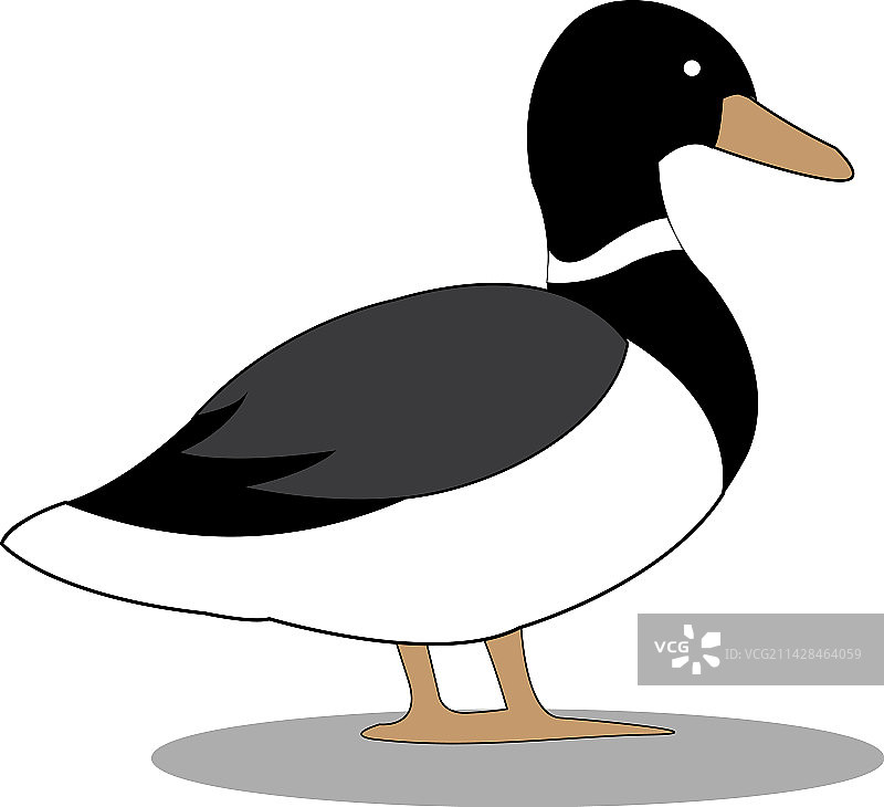 鸭子logo图标图片素材