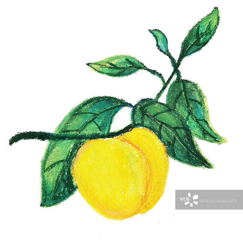 油画棒黄桃图片素材