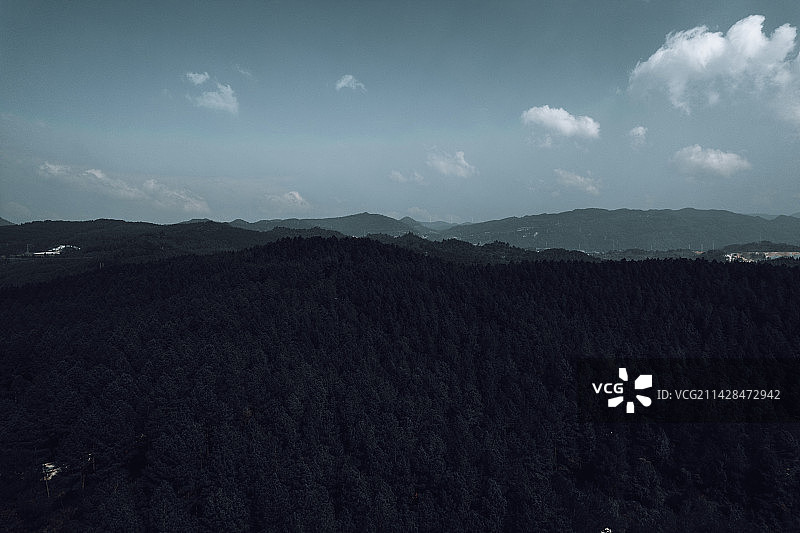 云贵高原茂密的森林图片素材