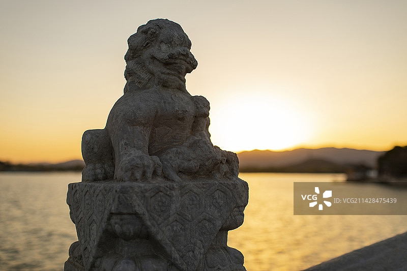 桥柱上的石狮子特写图片素材