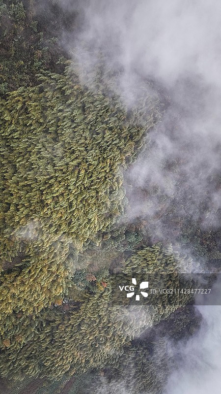 四明山雾景图片素材