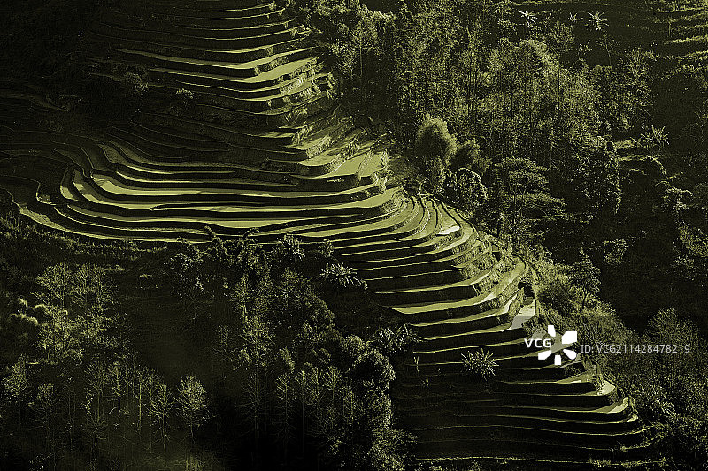 哈尼梯田图片素材