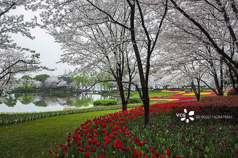 绍兴柯桥瓜渚湖畔图片素材