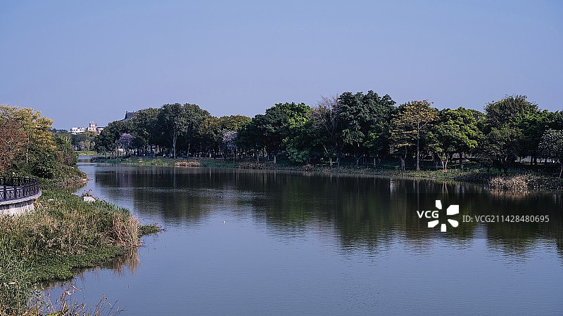 海珠湖公园 湿地图片素材