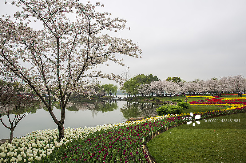 绍兴柯桥瓜渚湖畔图片素材