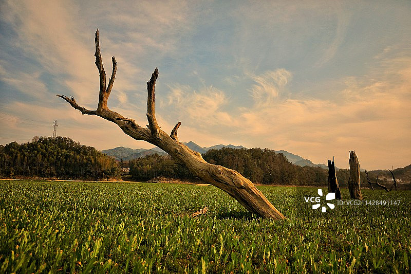 生命永恒（安庆花亭湖）图片素材