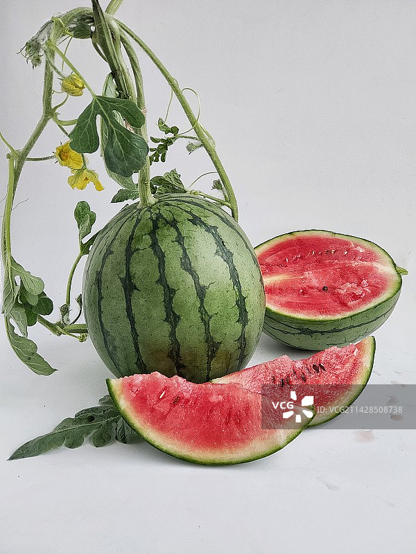西瓜图片素材