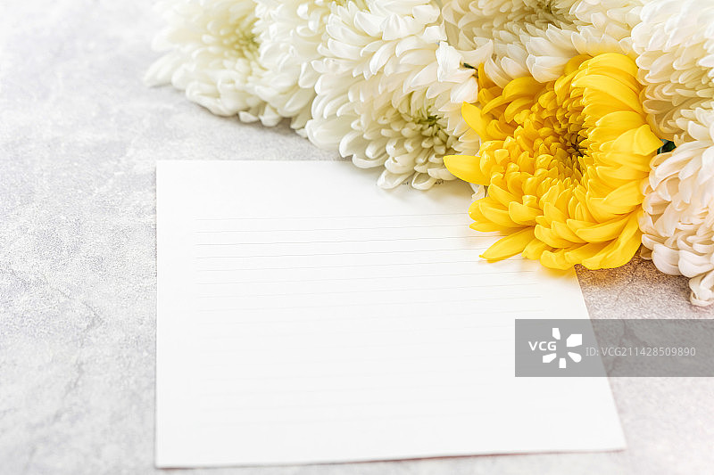 漂亮的菊花和信纸图片素材