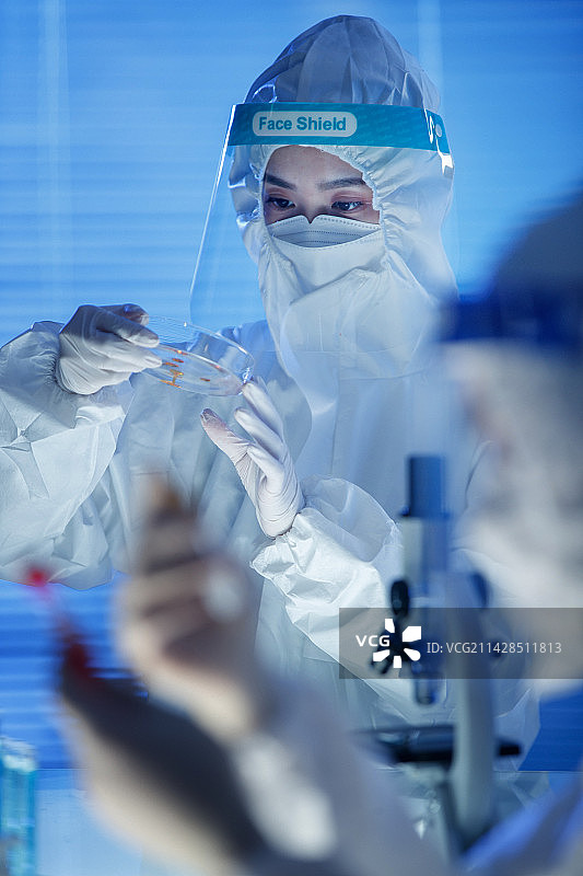 医务工作者做医学实验图片素材