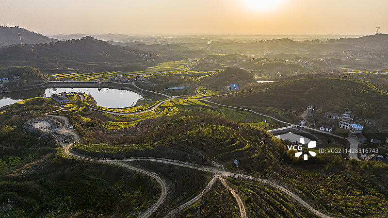 湖北黄冈浠水县城山村梯田油菜花航拍图片素材