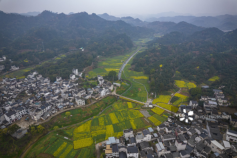 烟雨歙县油菜花图片素材