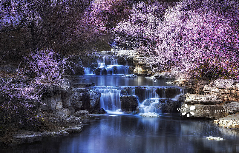北京国家植物园桃花溪图片素材