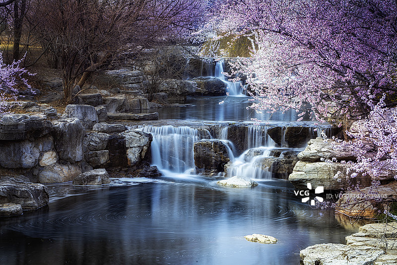 北京国家植物园桃花溪图片素材