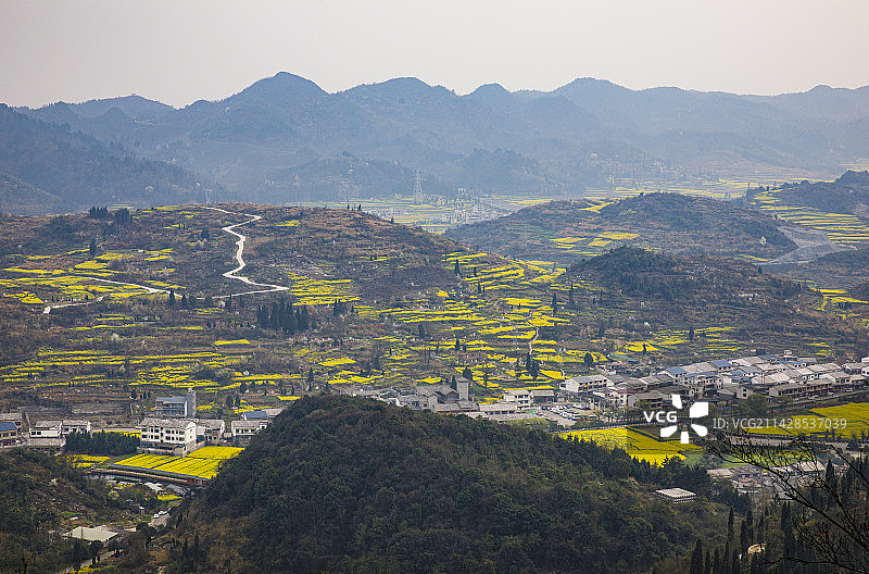 中国贵州安顺市西秀区七眼桥云峰屯堡云峰八寨油菜花开图片素材