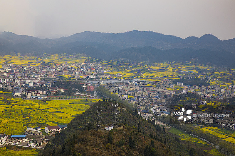 中国贵州安顺市西秀区七眼桥云峰屯堡云峰八寨油菜花开图片素材