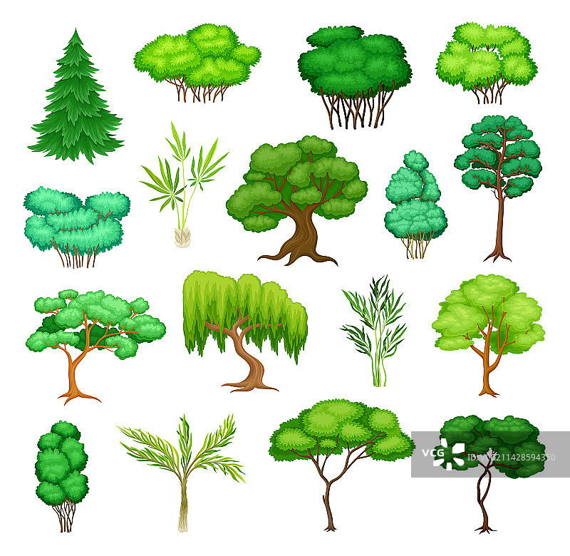 树冠茂盛的绿色落叶树图片素材