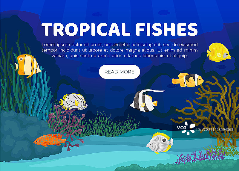 游动海洋热带鱼banner设计图片素材