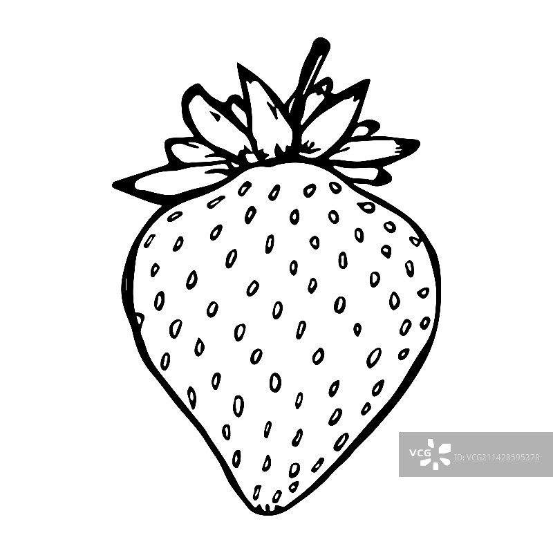 手绘草莓剪贴画图片素材