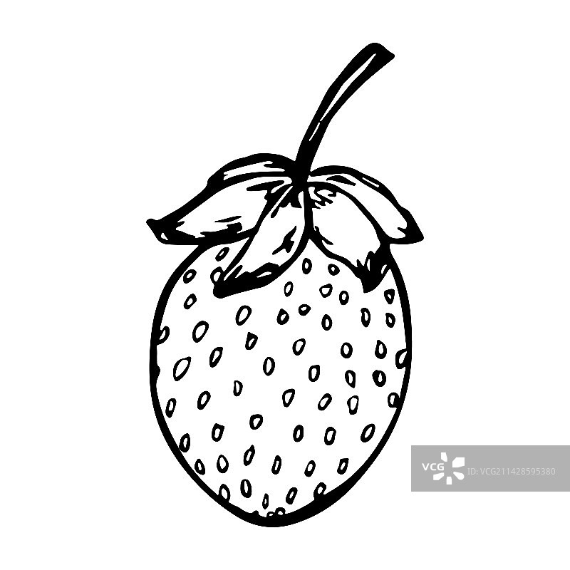 手绘草莓剪贴画图片素材